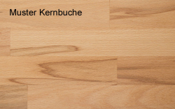 Muster Kernbuche1
